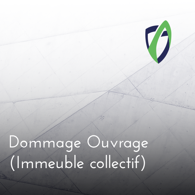 Dommage Ouvrage (Immeuble collectif)